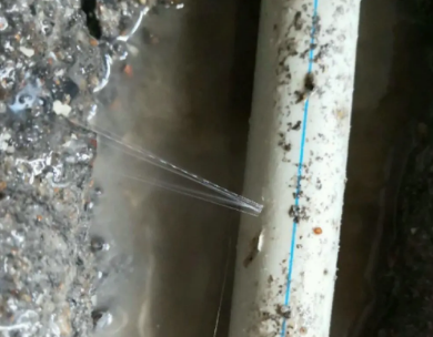 福建测漏水哪家好